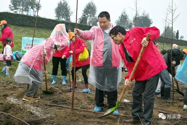 【474蒙特卡罗化工】3月12日牵手 “绿城飞花 美哉伦教”植树节